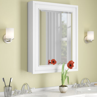 Charley W H Surface Framed Medicine Cabinet Mirror 3 Fixed