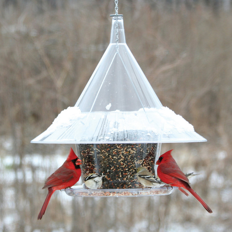 Karlyee Rodent Resistant Hanging Hopper Bird Feeder, 14" H x 17.5" W x 17.5" D, Clear