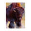 « warrior buffalo », reproduction de peinture à l’acrylique sur toile tendue-33514210