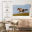 Free Appaloosa Horse