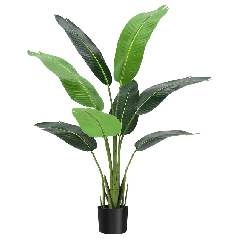 Plant, 121.92cm H x 41.91cm W x 85cm D, Black