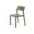 Agave