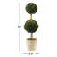 Preserved Boxwood Double Ball Topiary in Pot-465220151