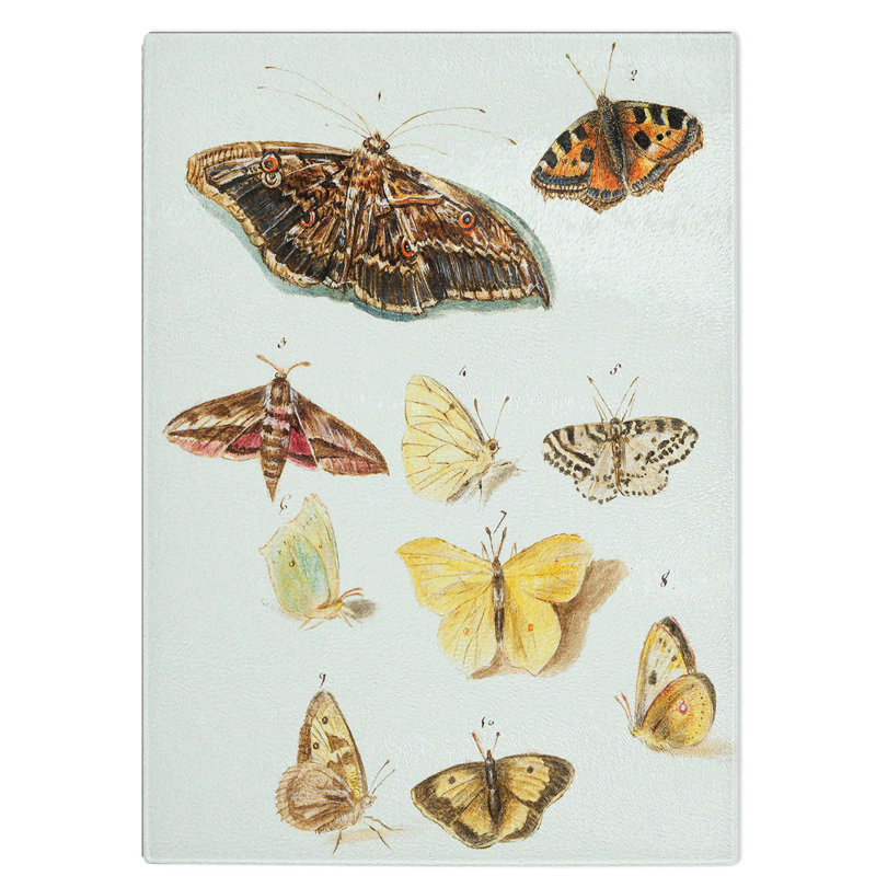 Tempered Glass Butterflies and Moths Chopping Board, 20 cm W x 28.5 cm L