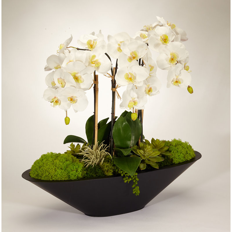 Orchid Floral Arrangement in Metal Planter, White