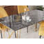 Dennie Glass Top Metal Base Dining Table