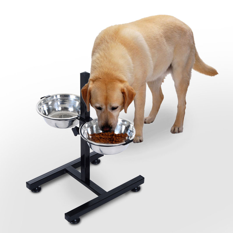 Anti-Skid Elevated Feeder, Medium (21.25")