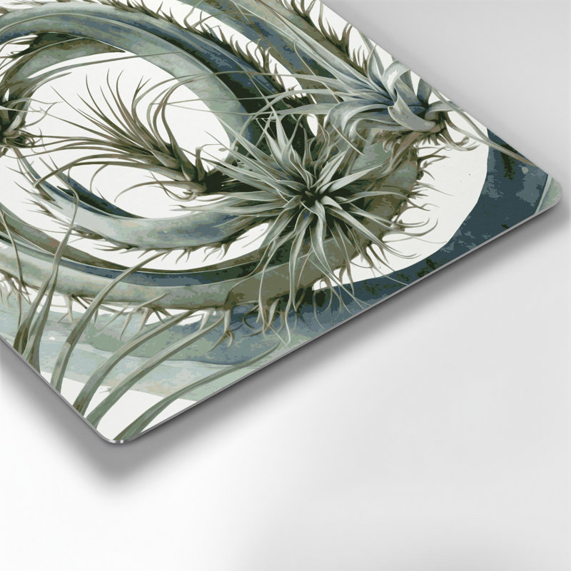 Art mural en métal Botanical Air Plants, H 144 po x l 144 po x P 0,05 po