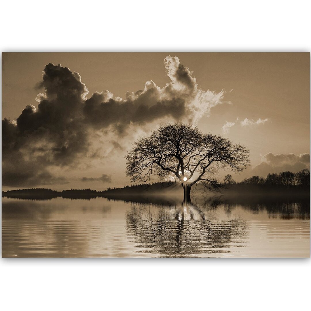 Leinwandbild Baum in der Dämmerung