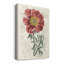 Peony Flower Garden IV - Impression sur toile tendue-919031669