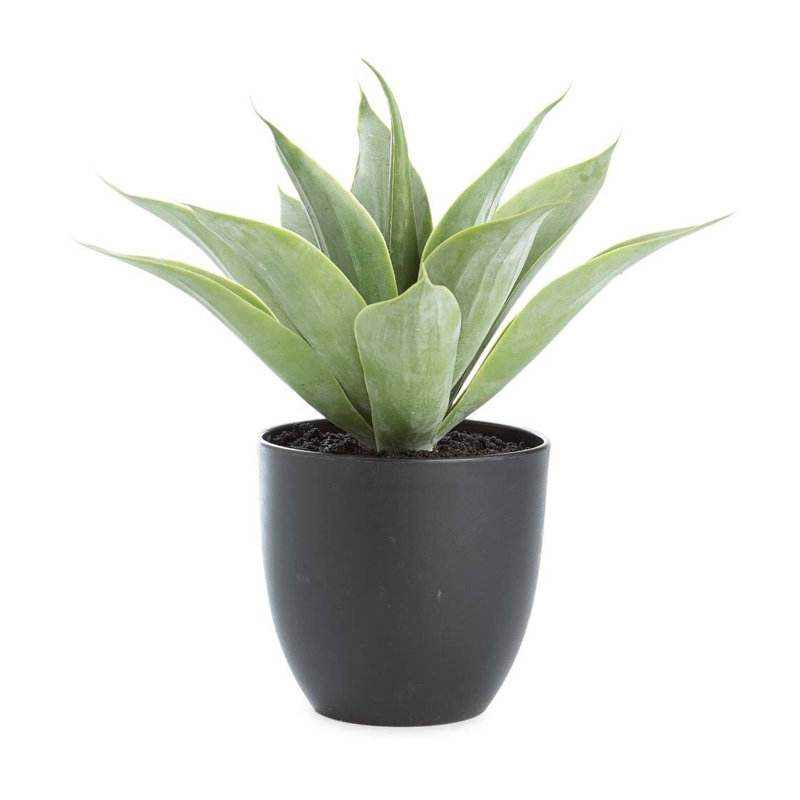 Plante grasse artificielle 14 po