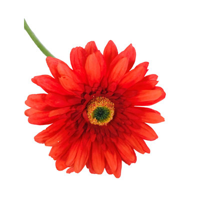 Arrangement floral