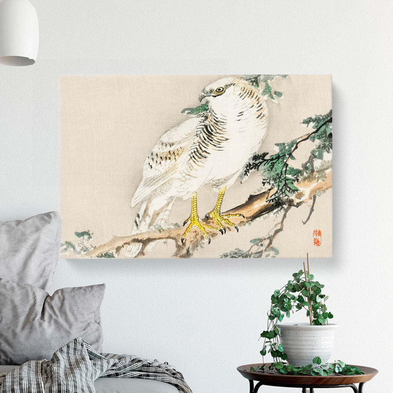 Northern Mockingbird by Kono Baireir - Wrapped Canvas, 40cm H x 60cm W x 3cm D
