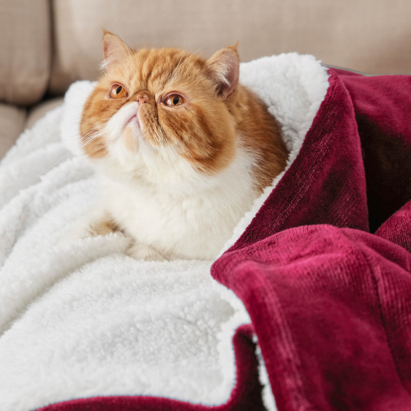 Bedsure Soft Sherpa Fleece Throw Blanket, Jadeite, 270cm x 270cm
