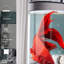 Aquarium 30-45 gallons-129744095-129744097