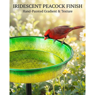 Baignoire autoportante pour oiseaux, bacs à oiseaux en métal avec mangeoire d'oiseaux Spa Stake, (vert)