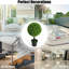 60 cm H Faux Boxwood Topiary Plant in Plastic Planter