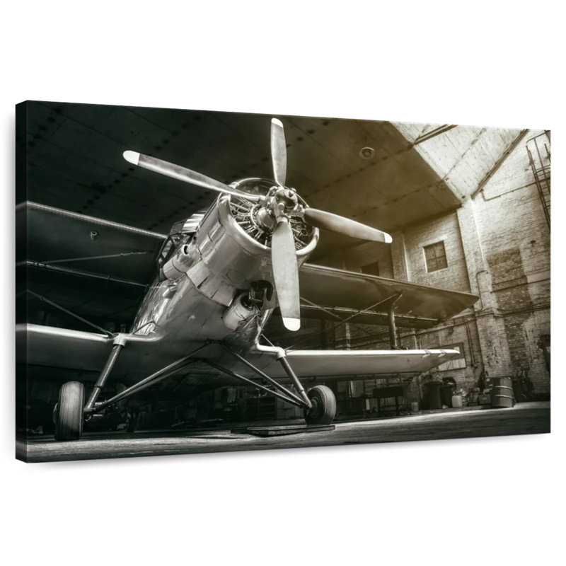 Avion historique Mehar, H 30 po x l 45 po