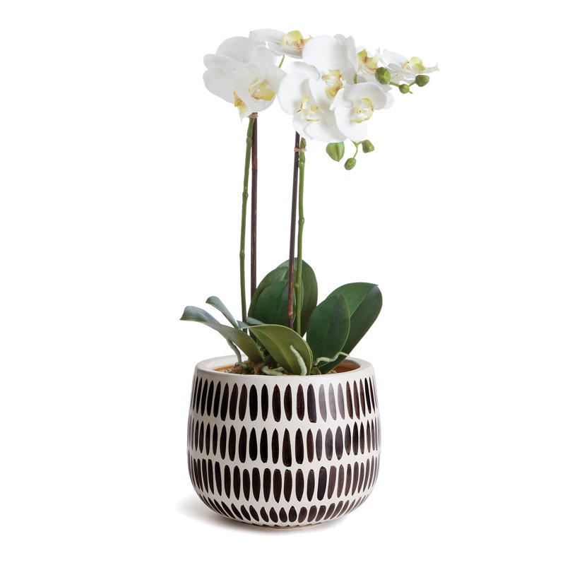 Killam Black Ceramic Pot Planter