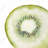 Green Gastronomy Kitchen Canvas | Kiwi Slice Home Decor