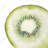 Kiwi slice - 32"x32" art on canvas