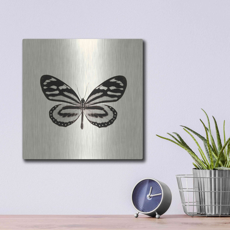 «Butterfly VIII BW» par Debra Van Swearingen, H 12 po x l 12 po