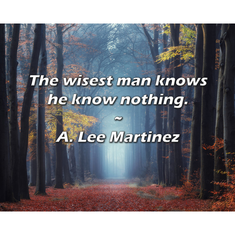 A. Lee Martinez Quote: The wisest man knows he know nothing., 15" H x 18" W