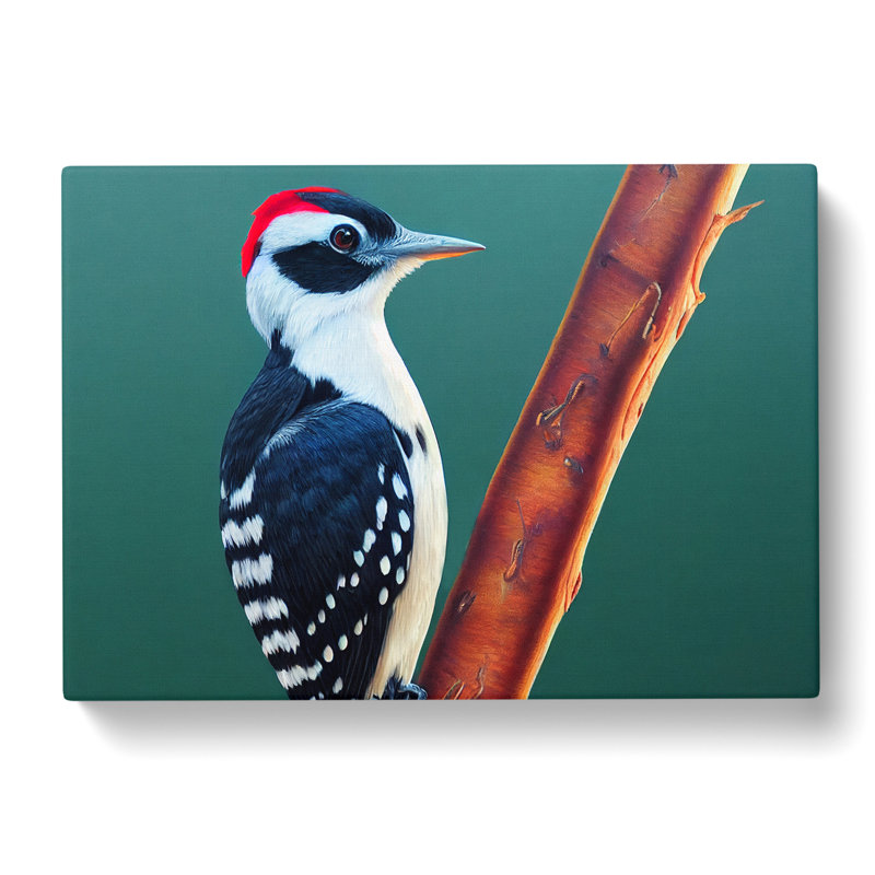 Select Woodpecker Bird - Wrapped Canvas, 50cm H x 76cm W x 3cm D