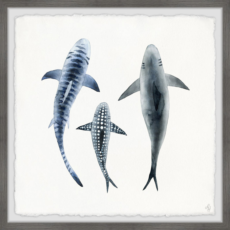 Tyrone Patterned Sharks - Single Picture Frame Painting, 41cm H x 41cm W