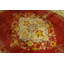 Tapis antique à motif médaillon turc antique Oushak - Angora