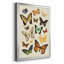 «Collection Flutter I», impression sur papier-667481537-667481539