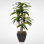 Real Touch Faux Dracaena Tree in Metal Pot