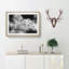 Birds On The Move Painting - Single Picture Frame Print on MDF-56633790-56633789