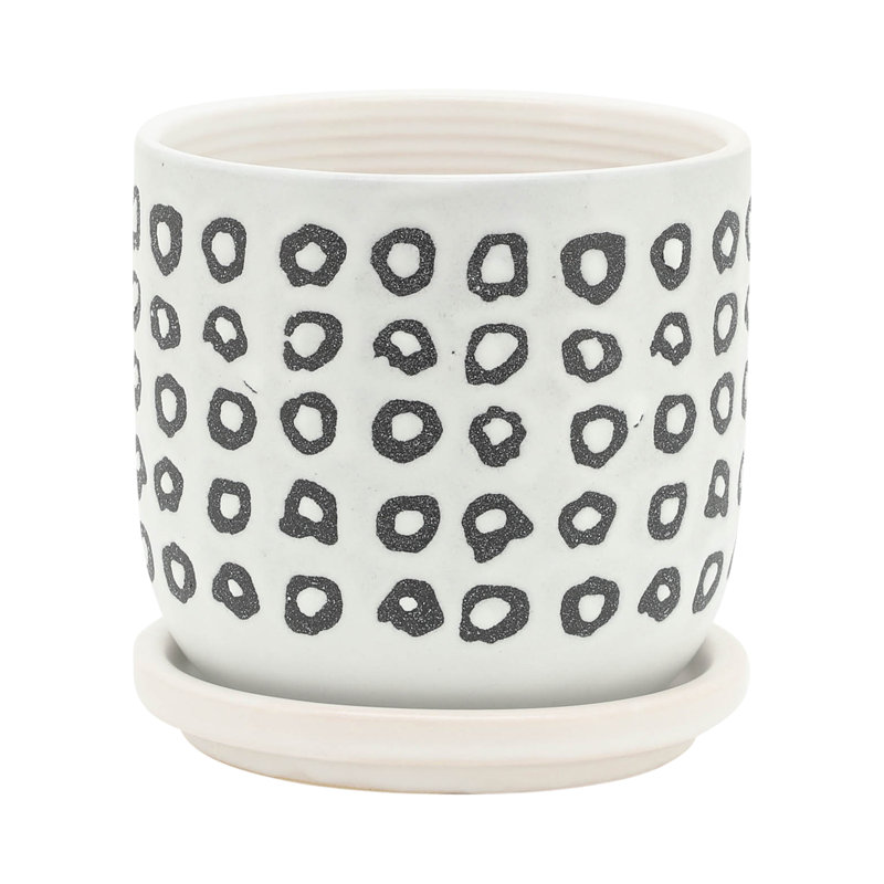 S / 2 5/6 po Aztec avec soucoupe, noir
