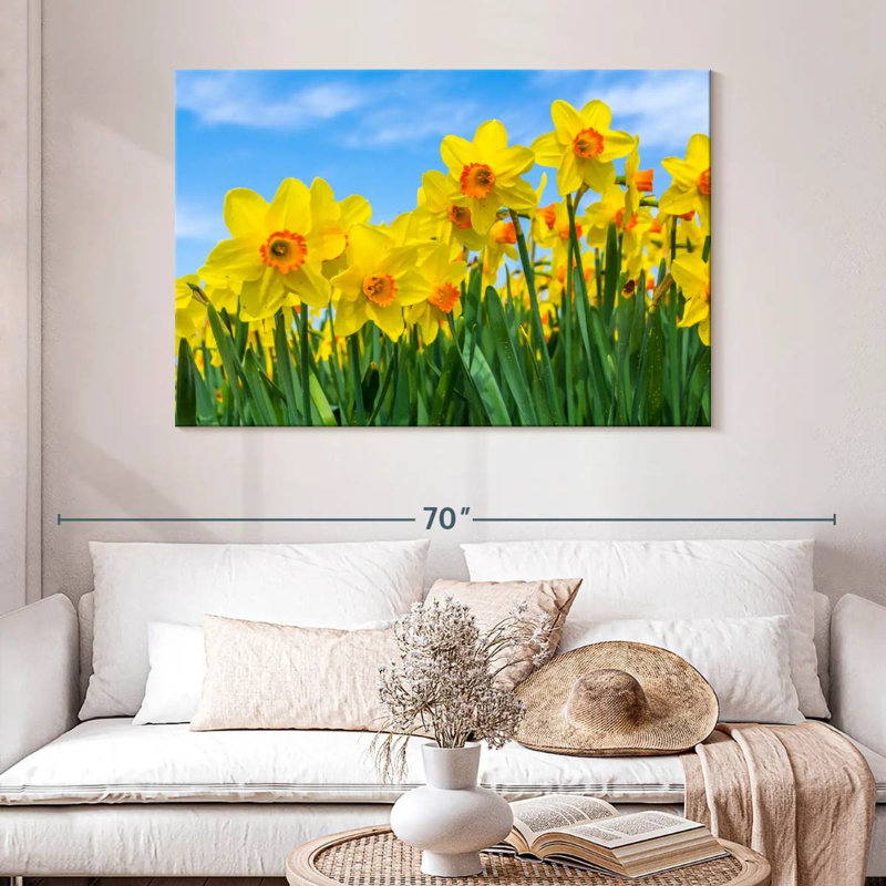 Jonquilles d'été Harnek, H 32 po x l 48 po
