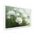 Cadre simple blanc