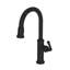 Gavin Single Handle Pull Down Kitchen Faucet-1750240874