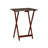Riceboro Folding Tray Table Set-1131411052