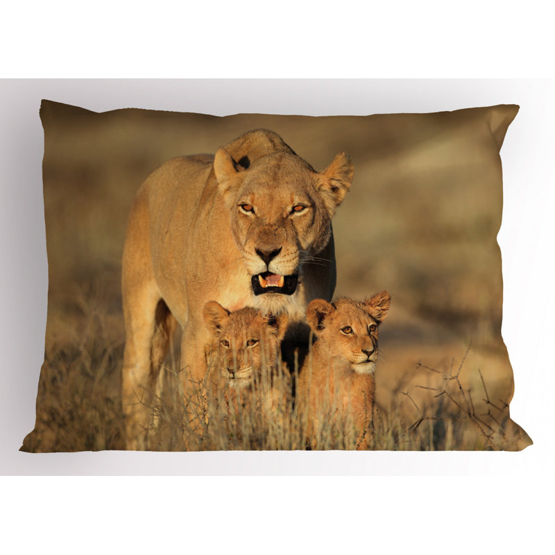 Polyester Sham Set, Twin