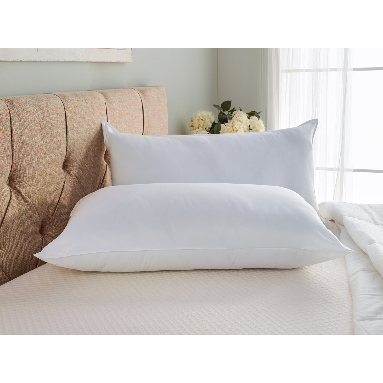 Firm Support Pillow, Queen, Plush