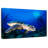 Brampt Underwater Hawksbill Turtle-108815840