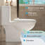 Toilette à double chasse 1,1 / 1,6 GPF avec siphonic S-Trap-124986424