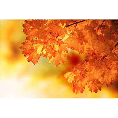 Abstract Autumn Maple Branch by Shantishanti - Wrapped Canvas Print
