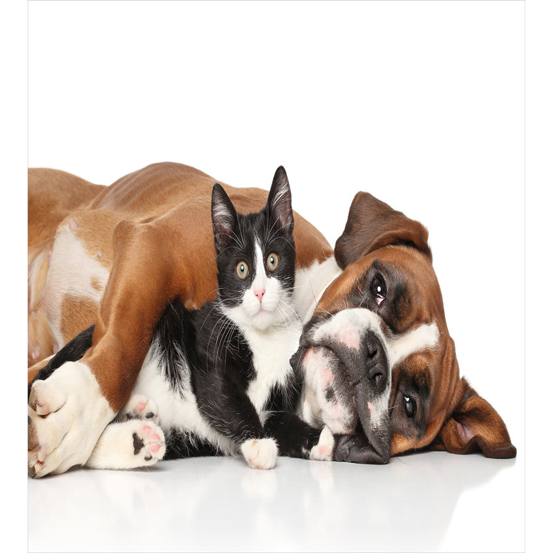 Modern & Contemporary Duvet Cover, Twin