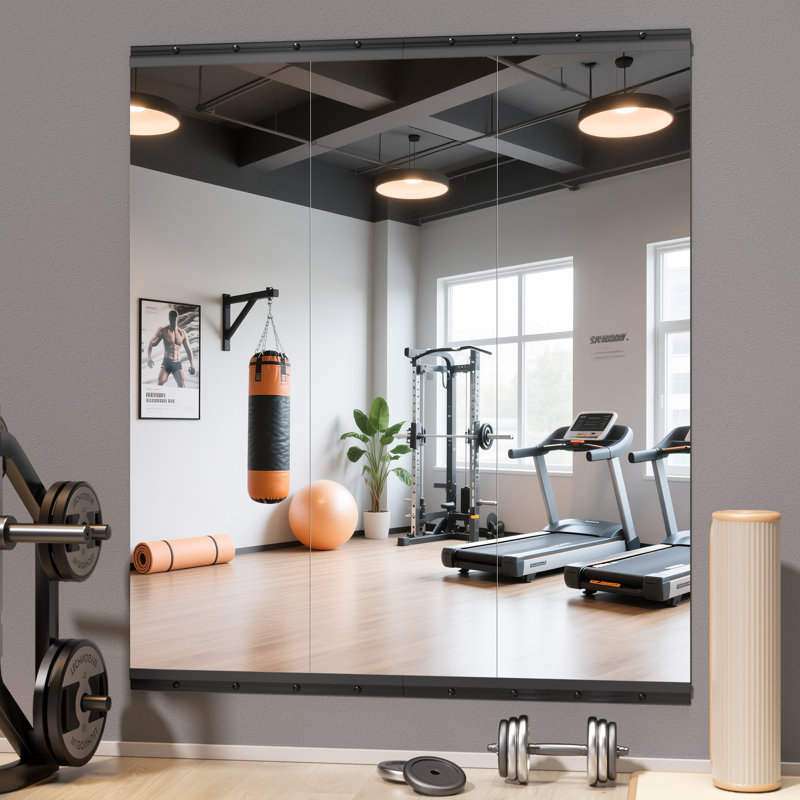 Ebern Designs Rectangle Full Length Metal Wall Mirror Set Home Gym Mirror with Tempered Glasses, 55" × 17", Silver