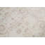 Wool Oriental Area Rug in Beige
