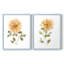 Impression encadrée Bright Botanical I-Premium - prête à être accrochée - aucun clou requis - aucun clou requis-1118922852-1118922834