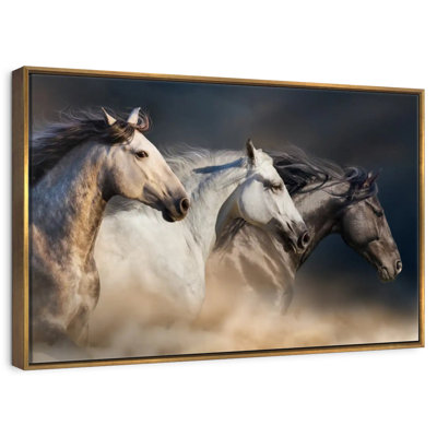 Chevaux magnifiques
