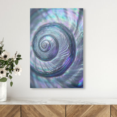 Sea Spiral Print by Oliver Gal