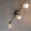 Photos des clients 1 de 1